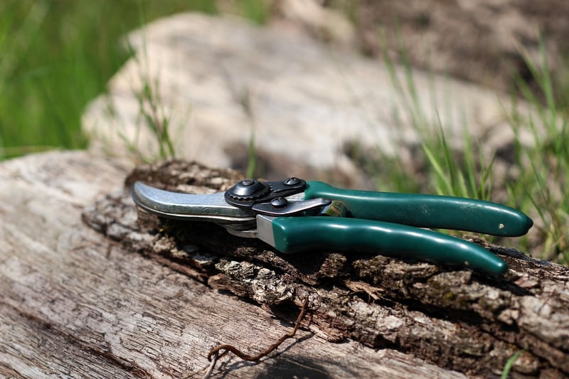 Pruning and propagation